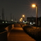夜の散歩道