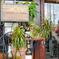 A restaurant