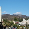 ＨＯＬＬＹＷＯＯＤ