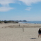 Ｂｏａｒｄｗａｌｋ