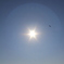太陽