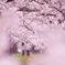 絆という希望