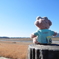 前を向いて歩こう♪
