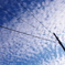 冬の空
