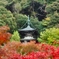 秋の京都・永観堂・禅林寺-67-D8-267