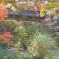 秋の京都・永観堂・禅林寺-37-D8-237