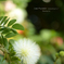 lovefavorite_383
