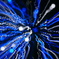 particle  matter