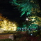 Illumination of TokyoMidtown