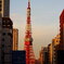 青看と東京タワー