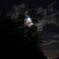 霧降高原の月夜2