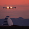 Tower and aircraft