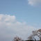 ふゆの空。