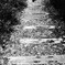 stand by me