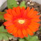 20090504_07