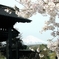 北山本門寺黒門