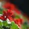 20090504_08