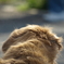 20090504_10