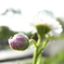 20090504_13