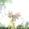 20090504_14