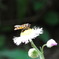 20090504_15