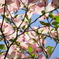 20090504_16