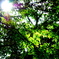 spot light