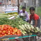 野菜売り
