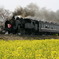 初めての真岡鉄道　菜の花とともに