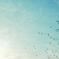 大空へ