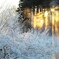毛嵐からの贈りもの　−19℃の朝