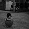 sng_20100501_027