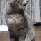photo_1613538