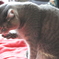photo_1613662