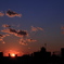 夕日