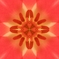 花芯