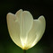 tuliplamp