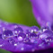 ｊewel box 