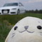 くっきりたまおさん。