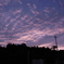 夕焼け雲