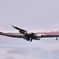 JASDF 747 “Cygnus”