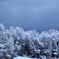 雪の花