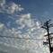 Telegraph pole