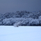一面の雪景色