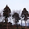 冬の山小屋