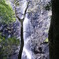 木陰の滝