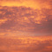 夕焼