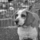 photo_1622900