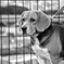photo_1622901