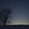 夜の哲学